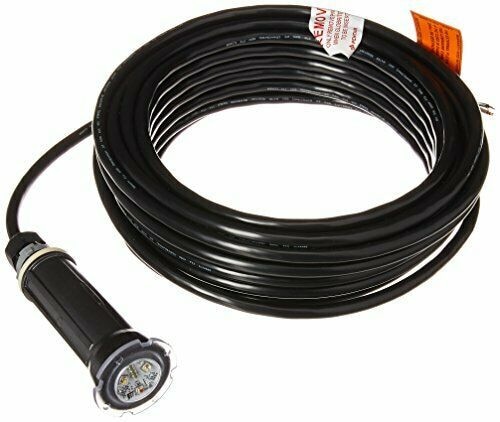 LT GLOBRITE 12V 50' COLOR