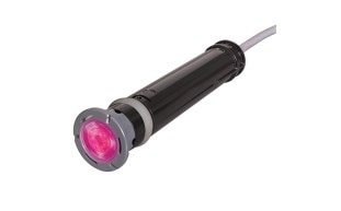 COLORLOGIC320 ACCENT 12V 100FT